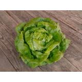 Kopfsalat