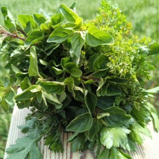 Kräuter-Mix (Thym./Peter./Kerb./Oreg.)
