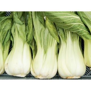 Pak-Choi
