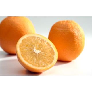 Orangen