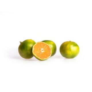 Satsumas grünlich