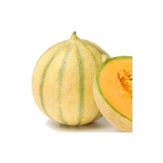 Honigmelone Cantaloupe