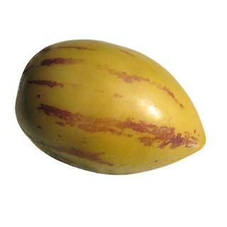 Honigmelone Piel de Sapo
