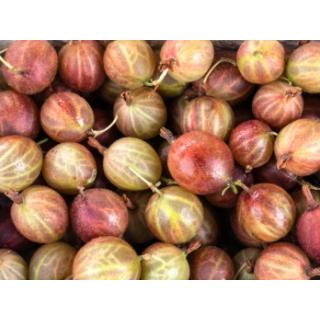 Stachelbeeren 250 g