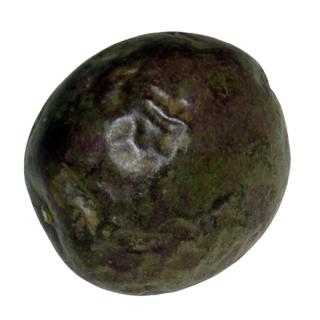 Passionsfrucht violett