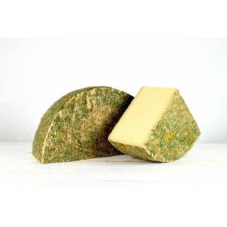 St. Galler Frühlingsblüte