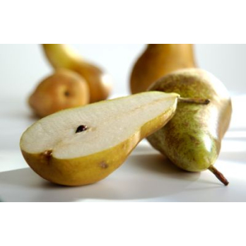 Birne Conference/Uta