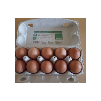 Eier (10 St.)