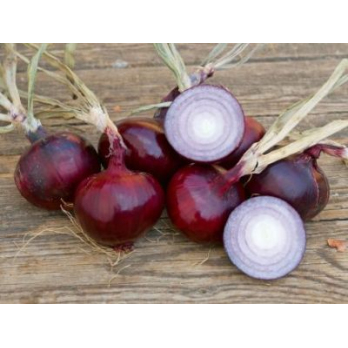 Zwiebeln rot